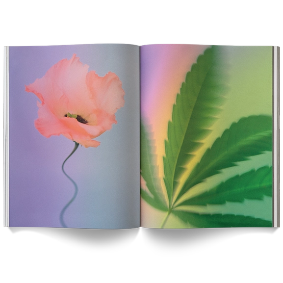 A Weed is a Flower: Artful Cannabis Photography