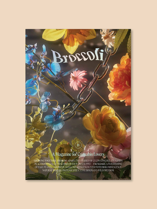 Broccoli Magazin #18