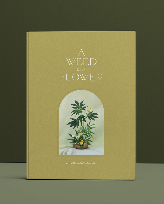 A Weed is a Flower: Artful Cannabis Photography